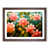 Walnut Framed selected