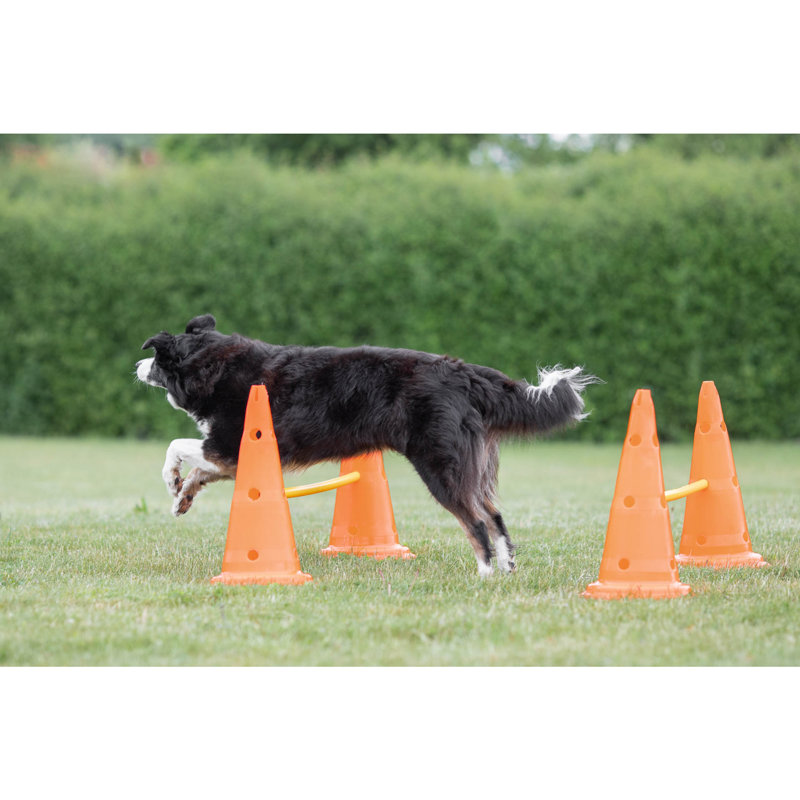 Adjustable Orange and Yellow Dog Agility Hurdle Cone Set