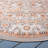 Soheila Performance Oriental Rug-3366767