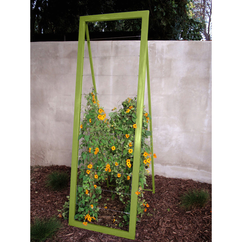 Treillis pliable en acier kestwick, Fougère