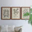 Antique Black and White Botanical VII - Ensemble de 3 reproductions d'art sur toile-282180058-282180063