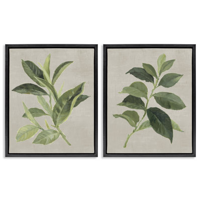 Green Tea & Coffee Plant Leaves 2pc Floating Frame Set, design by Lanie Loreth