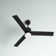 Newsom 52" 3-Blade LED Ceiling Fan with Light Kit and Remote Control