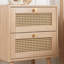 Noemi 2 Drawer Bedside Table-1371355914