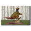 Toile tendue Pheasant-88995103