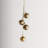 String of Bell
