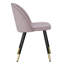 Ivan 47cm H Velvet Upholstered Side Chair-40631210