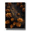 "Epic Graffiti" Golden Forest "par Andreas Magnusson, art mural sur toile-106172408