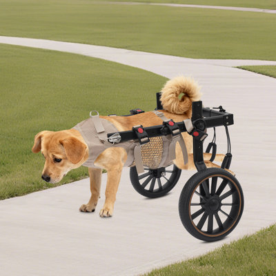 Fauteuil roulant pour chien