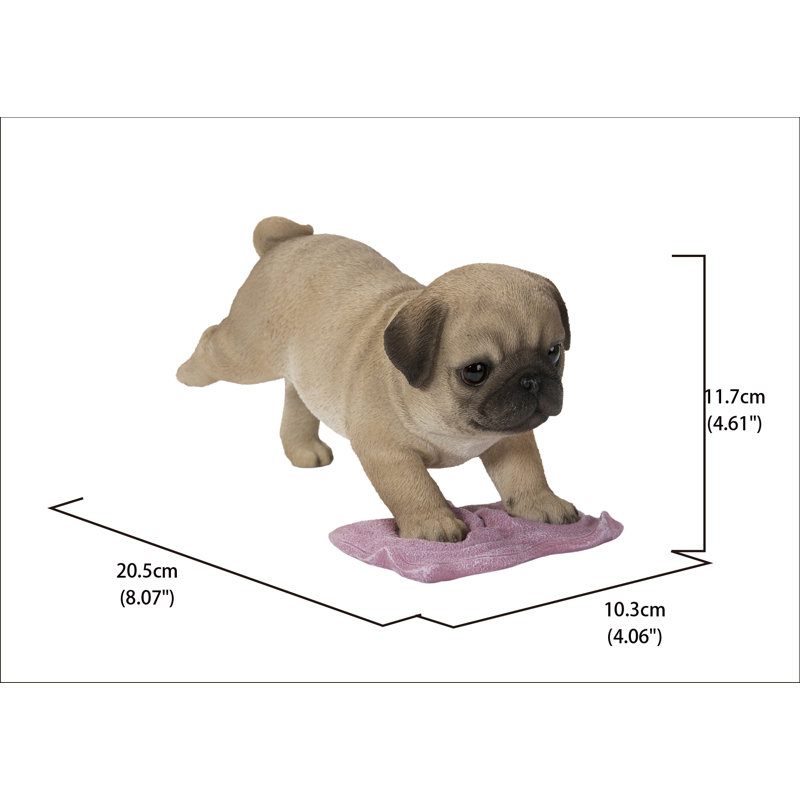 Pug Mopping the Floor