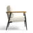 Dajauna Midcentury Modern Upholstered Metal Frame Chenille Arm Accent Chair-1889649226