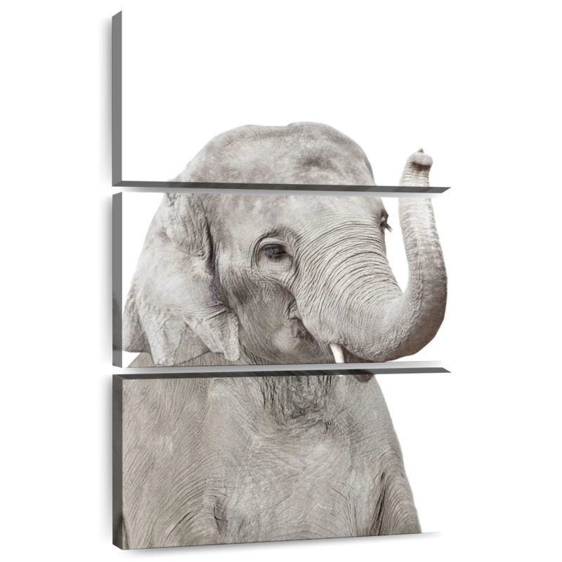 Adorable bébé éléphant Brampt, H 32 po x l 20 po