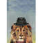 «Adelaide Jazzy Lion», reproduction sur toile tendue-1505924406