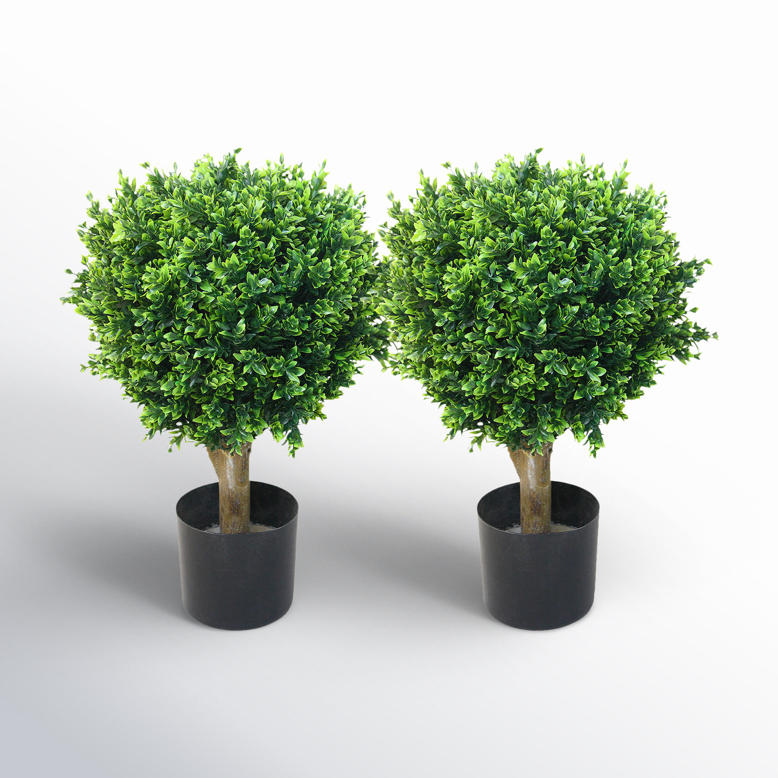 Weslyn 2 - Piece Hedyotis Boxwood Topiary in Planter
