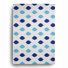 Blue/White