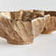 Ostra Decorative Bowls-849457862
