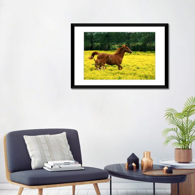 «Arabian Foal and Mare in a Field of Buttercups, Louisville, Jefferson County, Kentucky, États-Unis», reproduction de photo sur toile