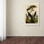 «Stanley Hawkplate 141» par John Audubon, reproduction sur toile tendue-730510736