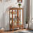 Curio Cabinet With 2 Tempered Glass Doors, Adjustable Shelves And Led Light-726057072