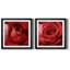 " Sincere Red " 2 - Pieces-61458078-61458077