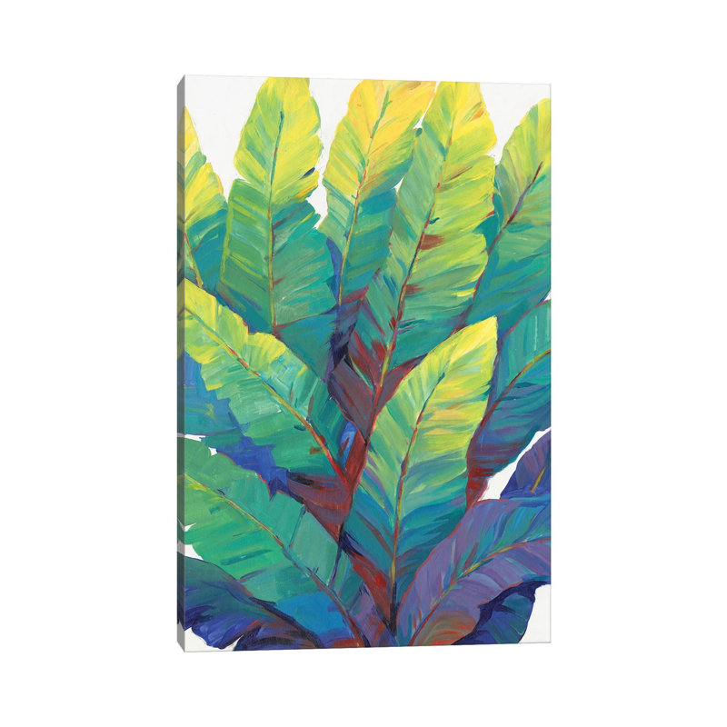 Sunlit Banana Leaves II by Tim OToole - Gallery-Wrapped Canvas Giclée on Canvas, Canvas, 30.48 cm H x 45.72 cm W