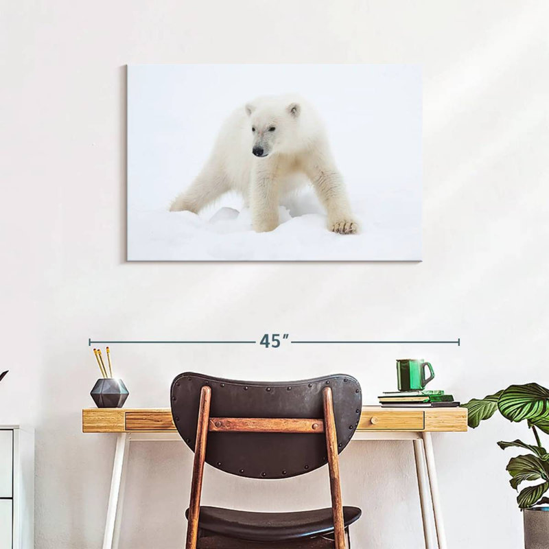 Brampt Juvenile Polar Bear, 24" H x 36" W