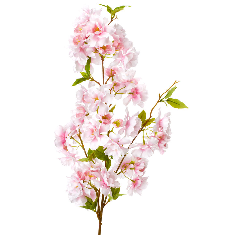 Stock Arrangement, Pink