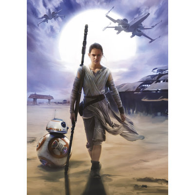 Carolyn Star Wars Rey Wall Mural