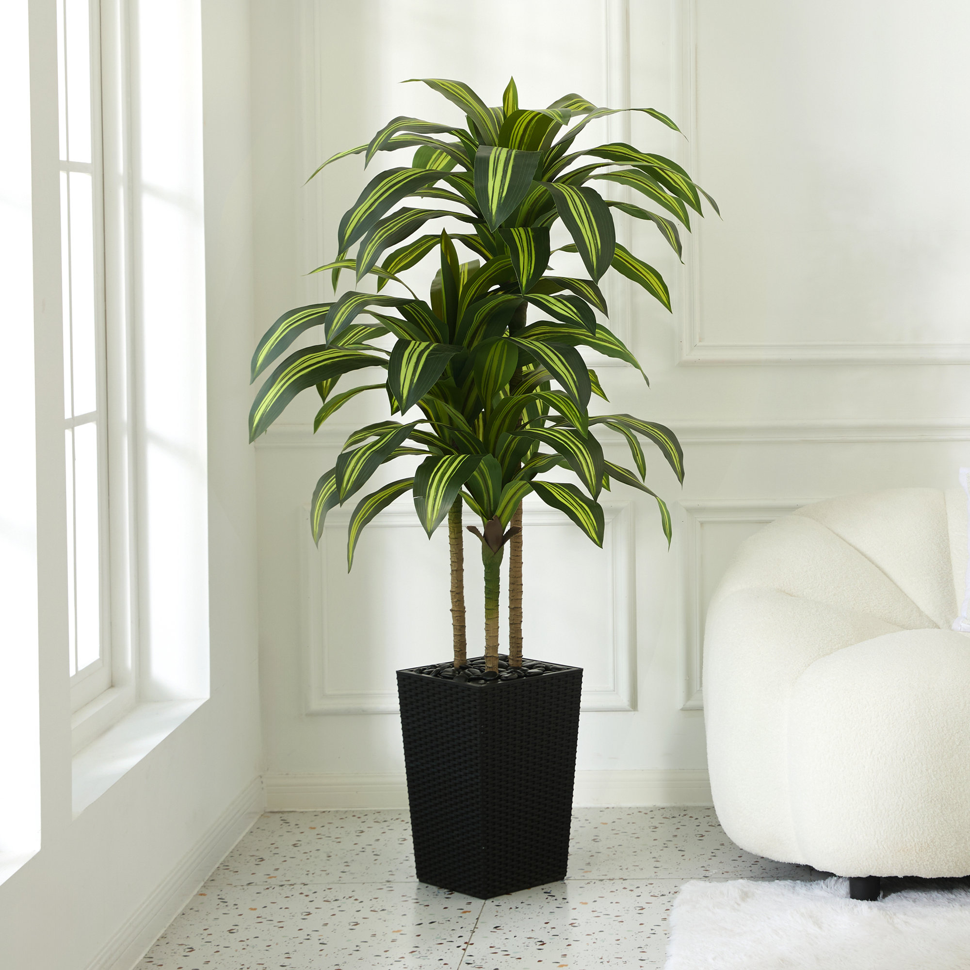 Almina UV Resistant Artificial Yellow Dracaena Tree, Faux Tree with Large Base for Indoor Outdoor, Black