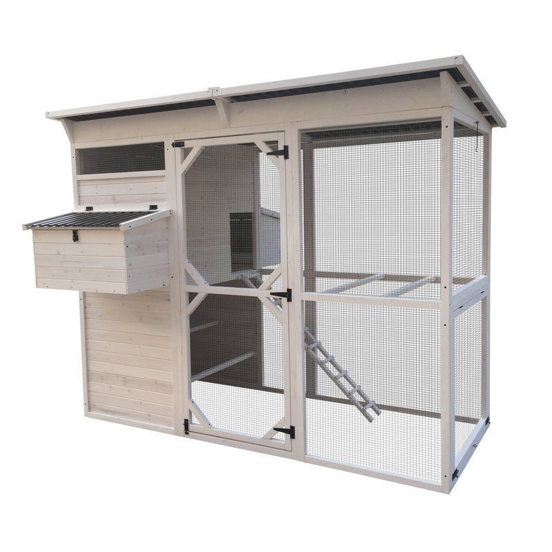 Poulailler 3096 pieds carrés avec nichoir
