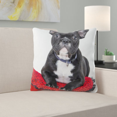 Coussin bouledogue