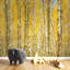 Murale automne-498629899
