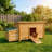Chicken Coop