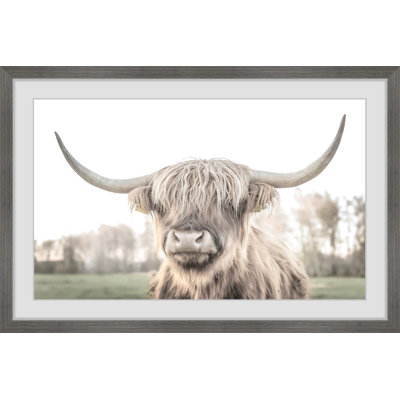 Cattle Portrait - Print