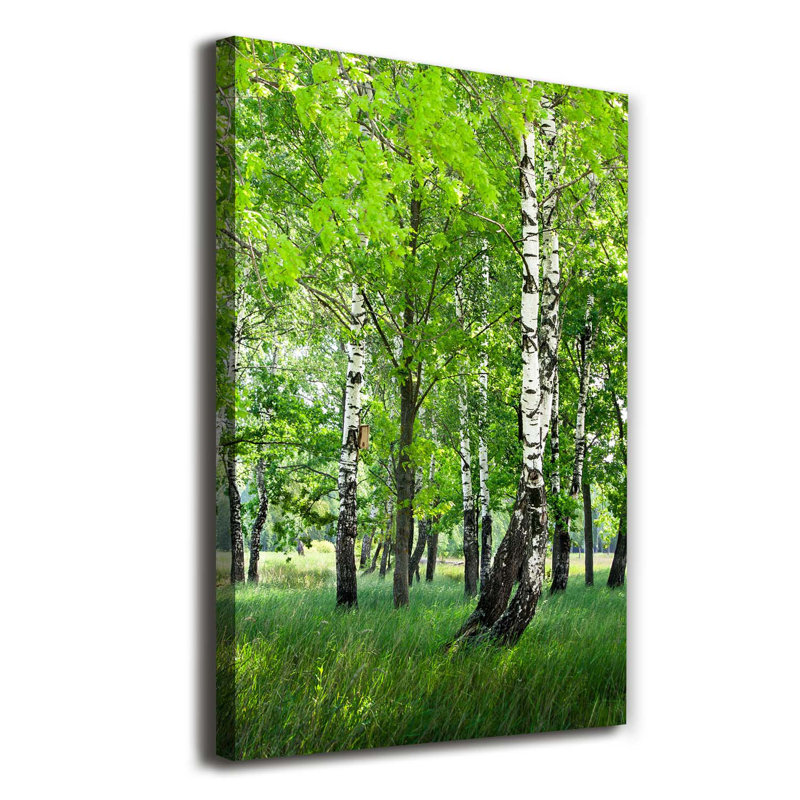 Birch Forest - Wrapped Canvas Print