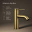 Robinet de lavabo de salle de bain monocommande Composants-96096568
