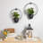 Schunemunk Iron 2-Piece Wall Planter Set