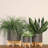 Versatile Ceramic Planter with Wood Stand for All Spaces and Plants-1636447219-1636447217