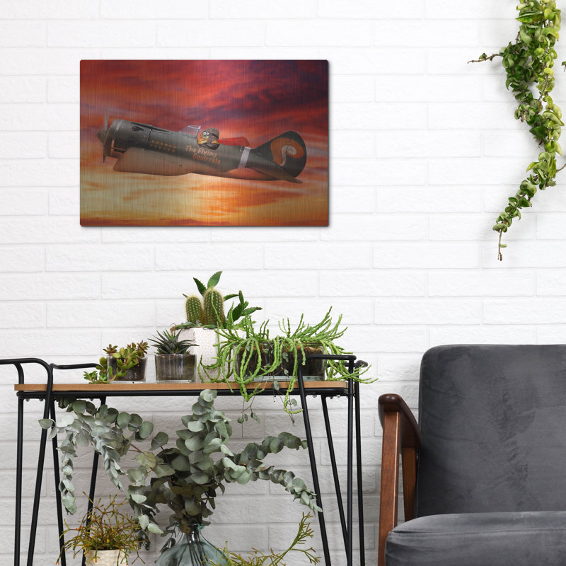  'Flying Squirrel' by John Hovenstine Metal Wall Art, 16" x 12", 12" H x 16" W