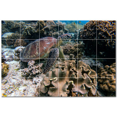 Tortue photo 6 x 6