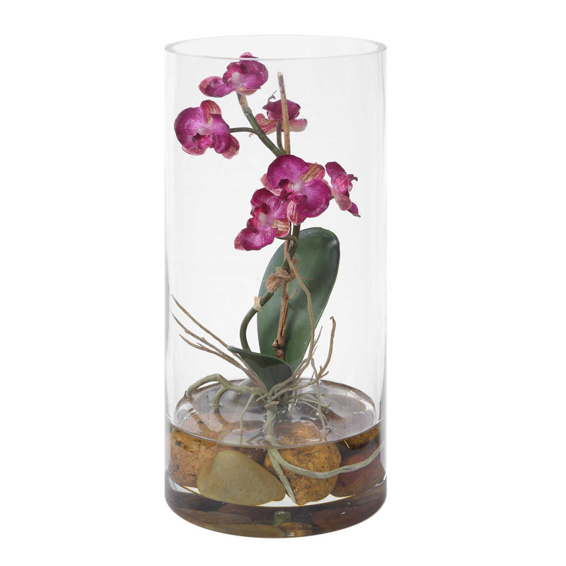Orchidée fuchsia Mariposa