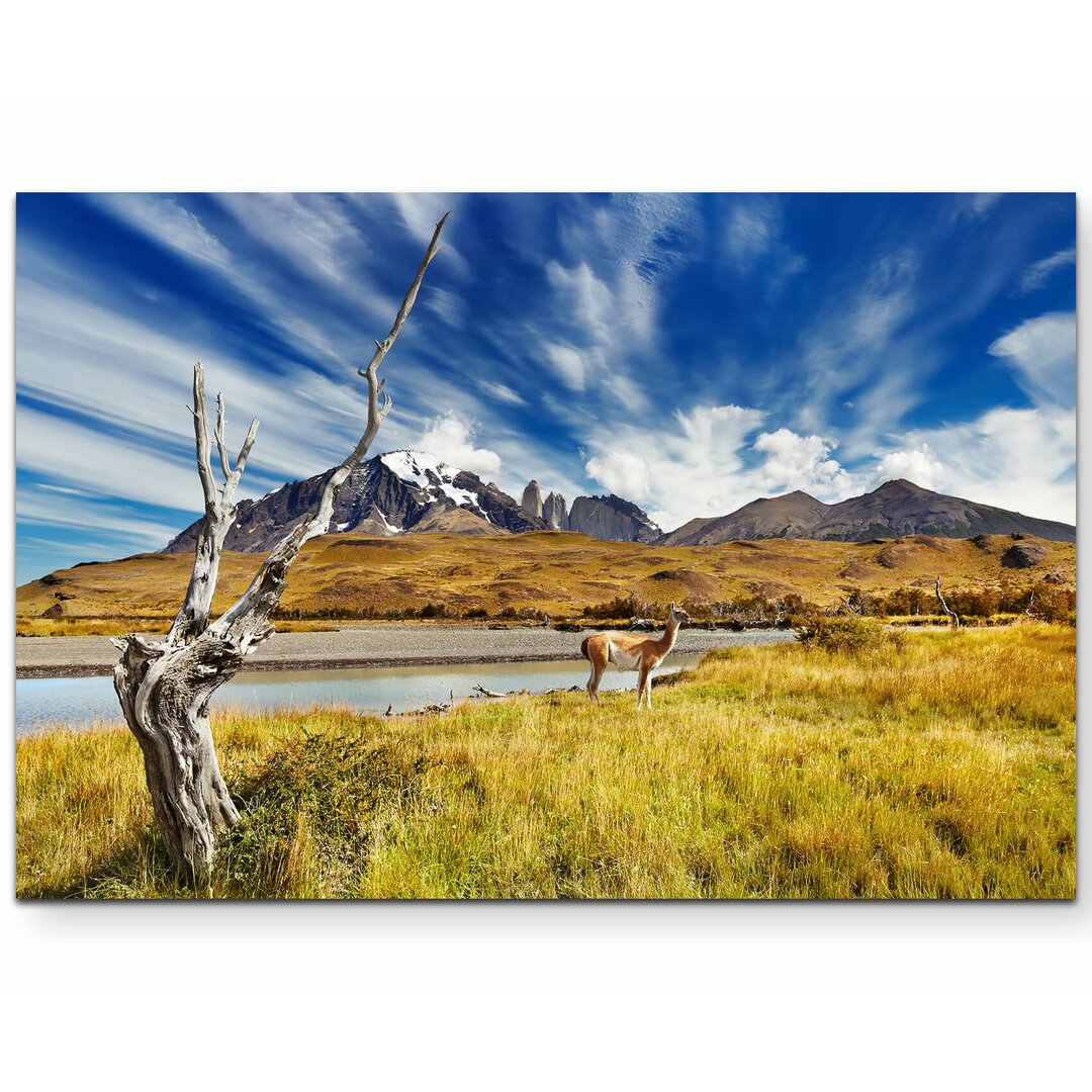 Leinwandbild Nationalpark Torres del Paine  Chile