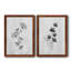 Neutre pré III - ensemble de 2 reproductions de dessins-630587909-630588010-630587910