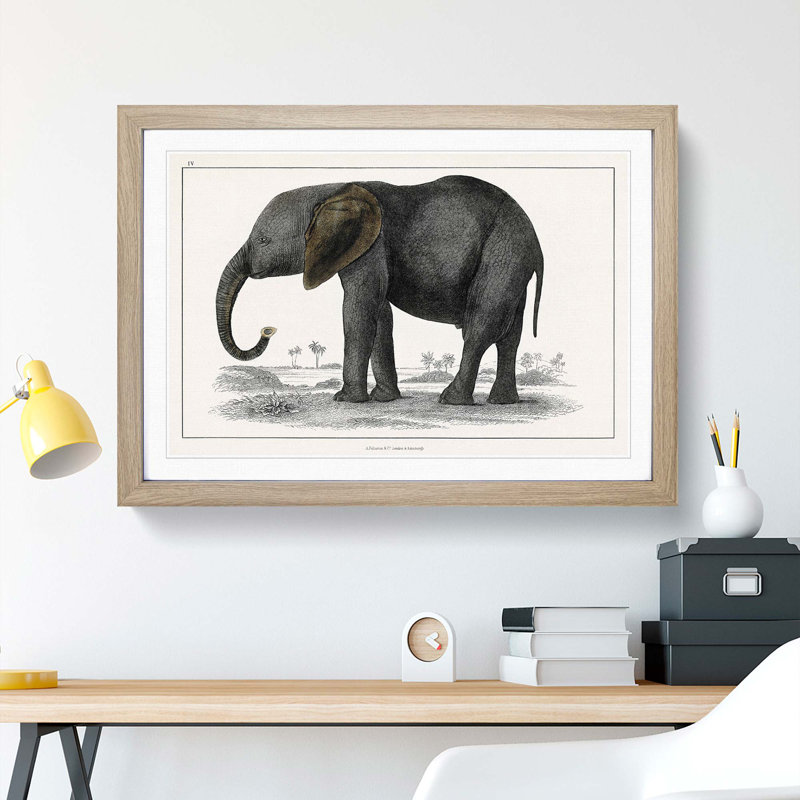 Elephant by Oliver Goldsmith - Picture Frame Painting Print, 36cm H x 48cm W x 2cm D, Oak Framed