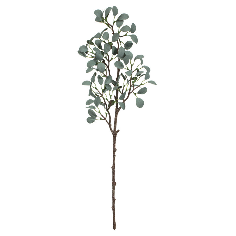 Jet d'eucalyptus