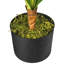 Yardley 36'' Faux Dracaena Plant in Pot