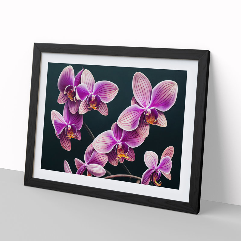 Evolving Orchid Flowers - Framed Print, 46cm H x 64cm W x 2cm D, Black