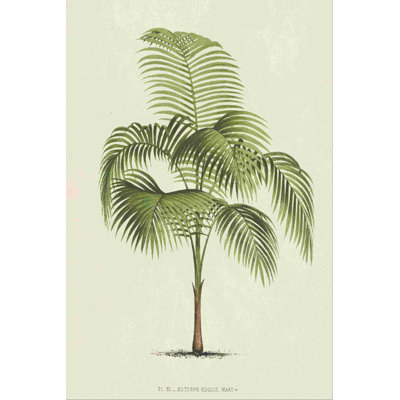 " Les Palmiers I " Painting Print