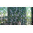 Plants & Flowers Non-Wall Damaging Window Decal-658779564