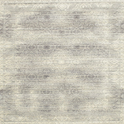 Oriental Indoor Rug